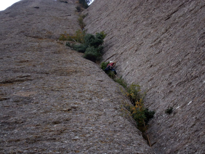 Quarta tirada, vertical i vegetal